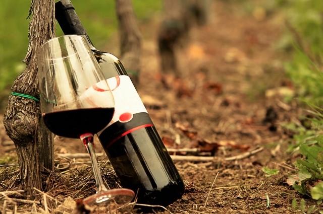 ﾎﾟﾘﾌｪﾉｰﾙ1